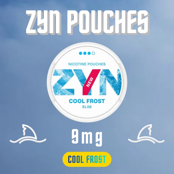 Zyn Pouches Cool Frost 9mg