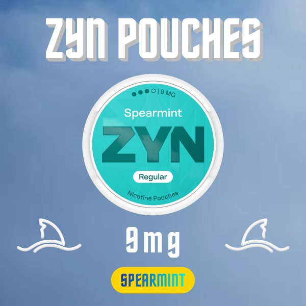 Zyn Pouches Spearmint 9mg